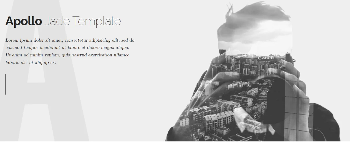 portfolio de fotografia